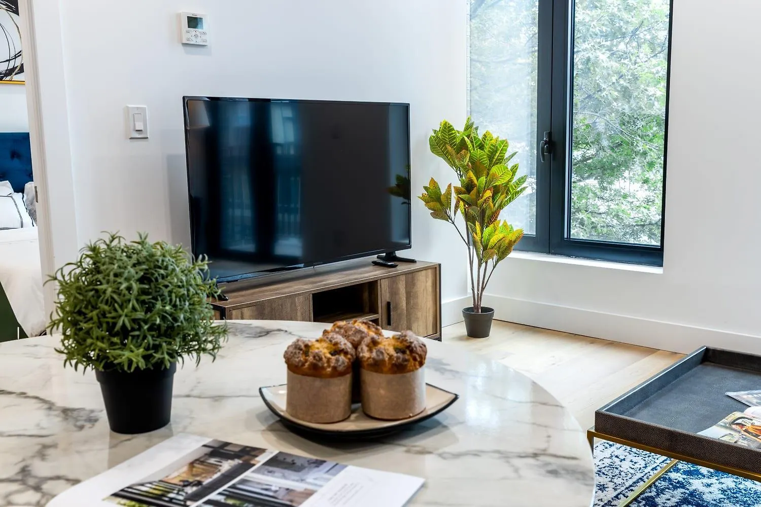 Vila 149Bk-302 New Construction 1Br Wd In Unit Balcony New York 0*,  USA